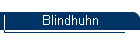 Blindhuhn