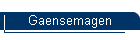 Gaensemagen