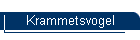 Krammetsvogel
